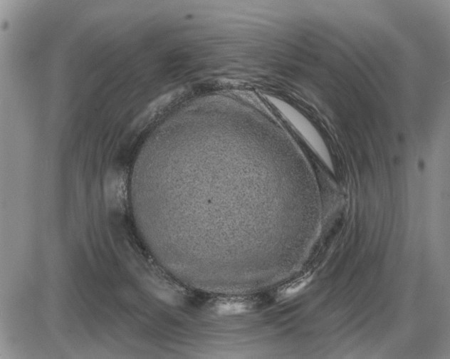 X0000085020127200703191151