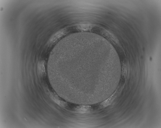 X0000085020128200703191151