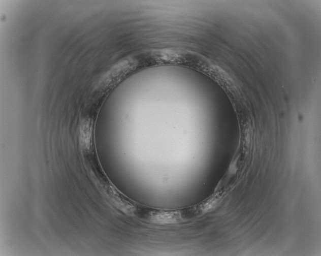 X0000085020129200703191151