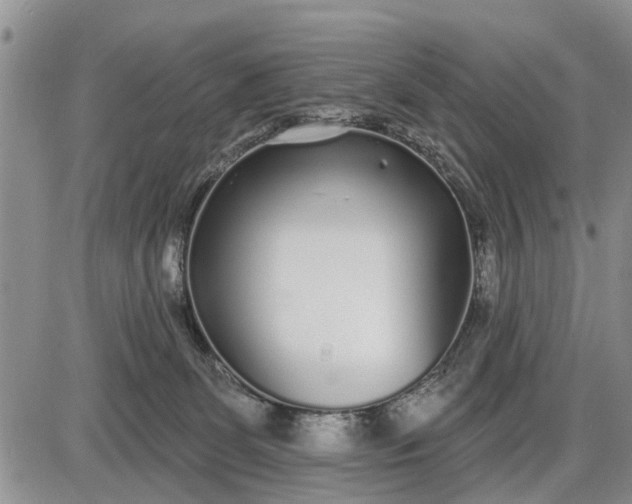X0000085020131200703191151