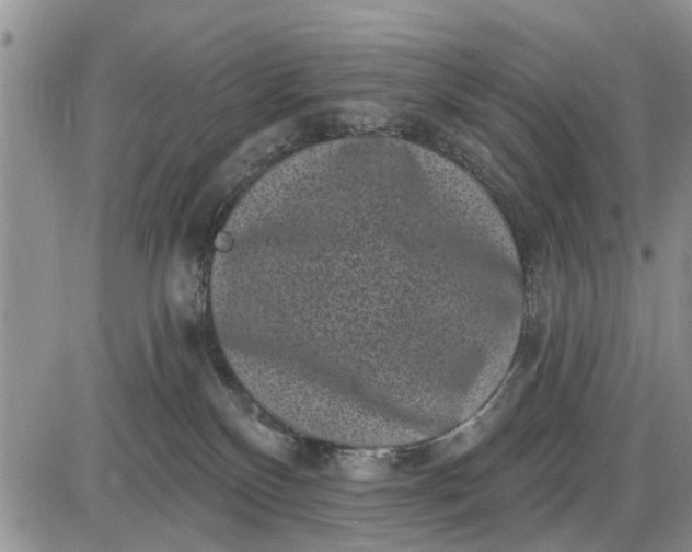 X0000085020136200703191151