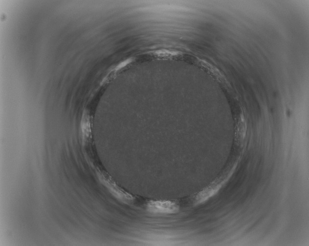 X0000085020137200703191151