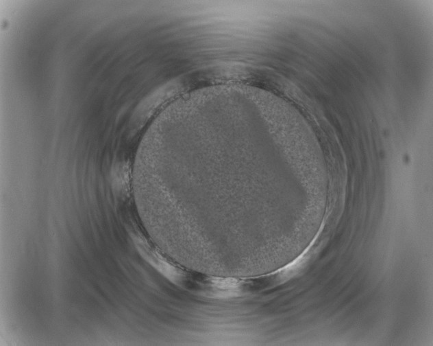 X0000085020144200703191151