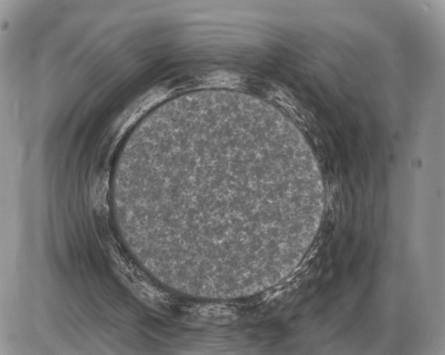 X0000085020146200703191150
