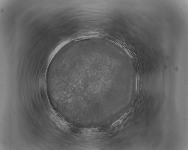 X0000085020147200703191150
