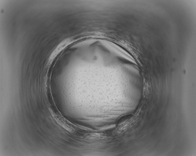 X0000085020151200703191150