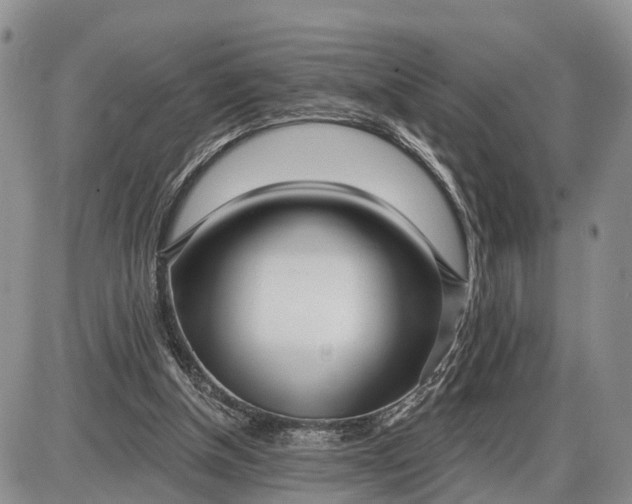X0000085020154200703191150