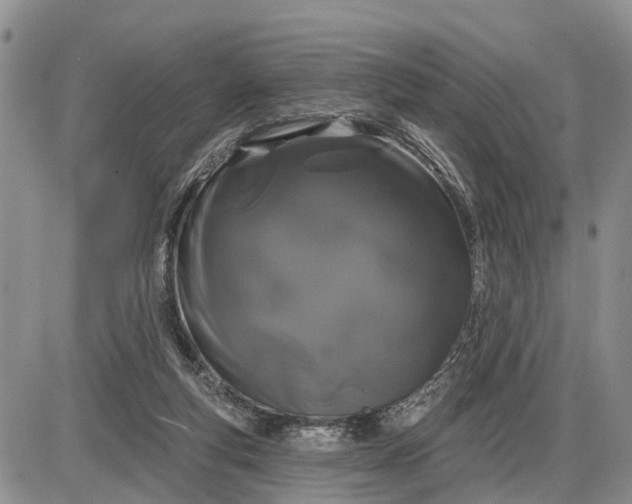 X0000085020163200703191150