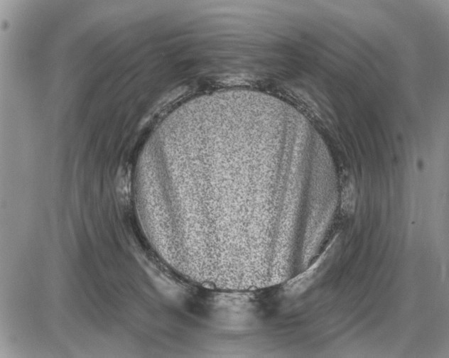 X0000085020179200703191151
