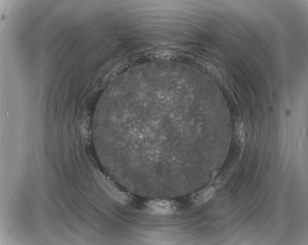 X0000085020181200703191151
