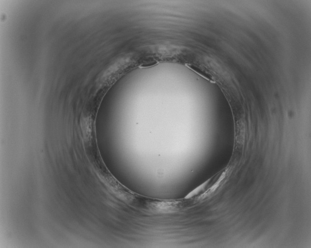 X0000085020184200703191151