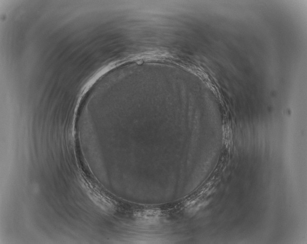 X0000085020196200703191150