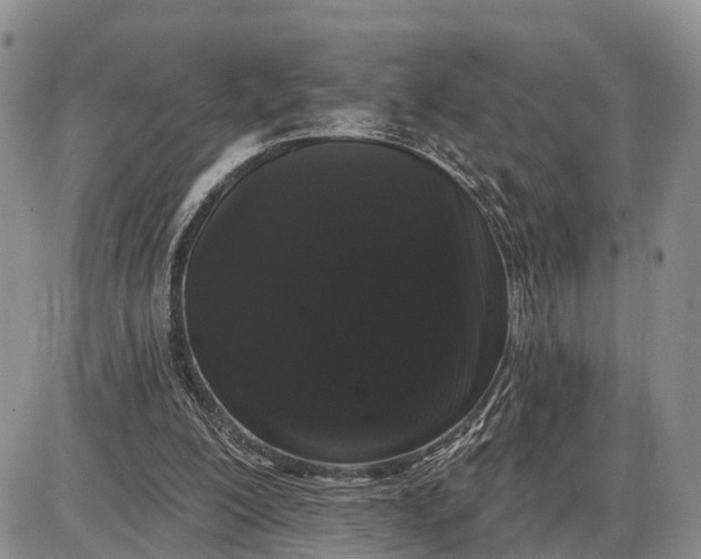 X0000085020200200703191150