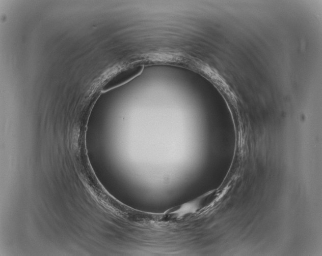 X0000085020201200703191150