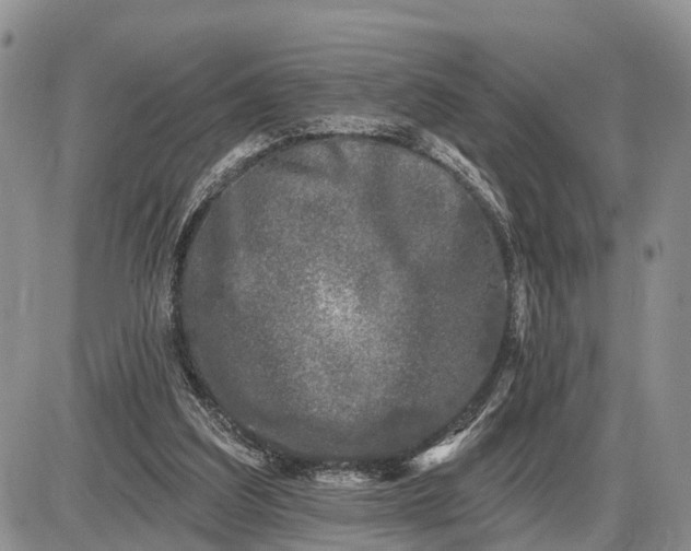 X0000085020203200703191150