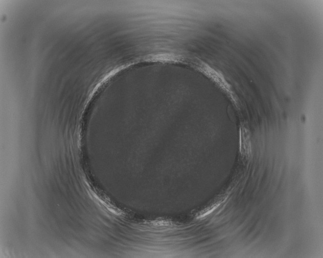 X0000085020204200703191150