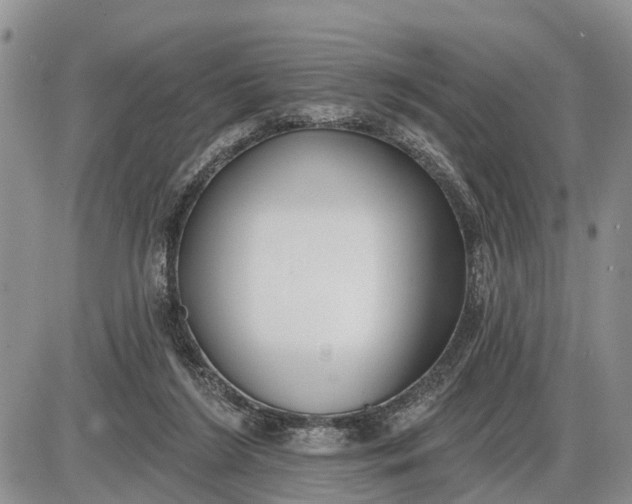 X0000085020212200703191150