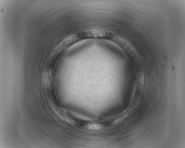 X0000085020218200703191150