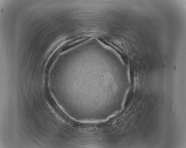 X0000085020243200703191149