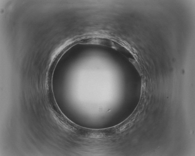X0000085020248200703191149