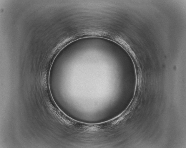 X0000085020249200703191149