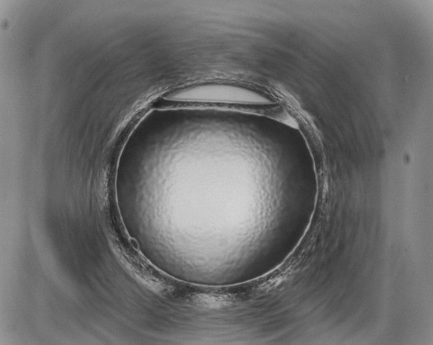 X0000085020250200703191149