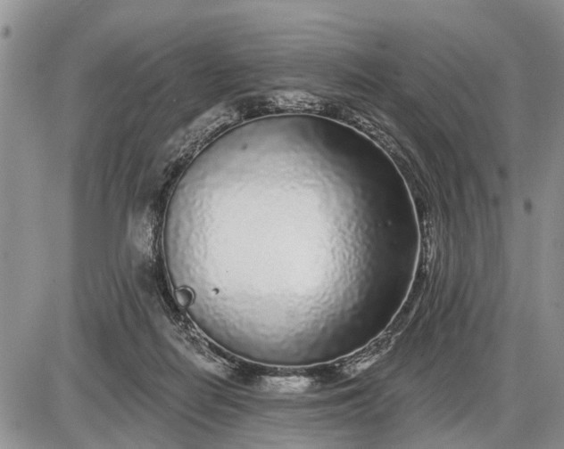 X0000085020266200703191149