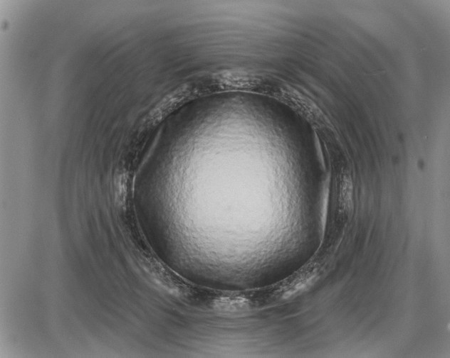 X0000085020271200703191149