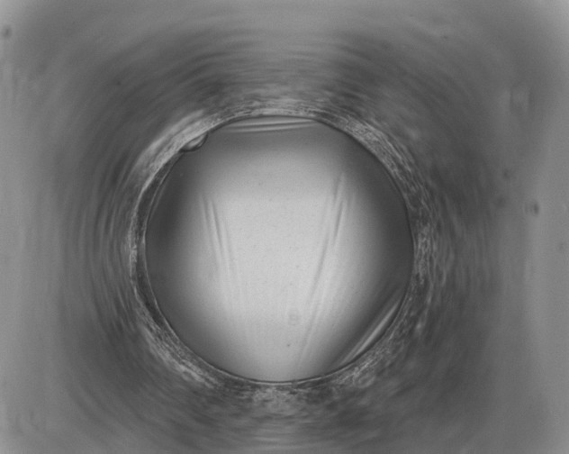 X0000085020290200703191148