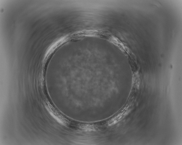 X0000085020293200703191148
