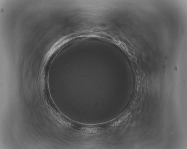 X0000085020295200703191148
