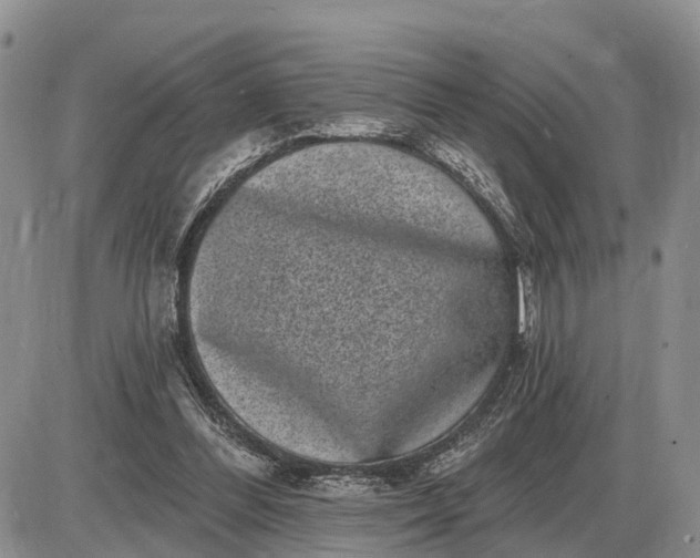 X0000085020300200703191148