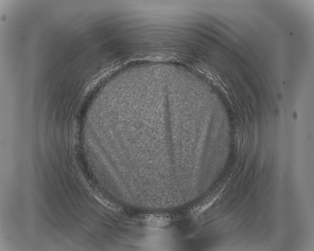 X0000085020303200703191148