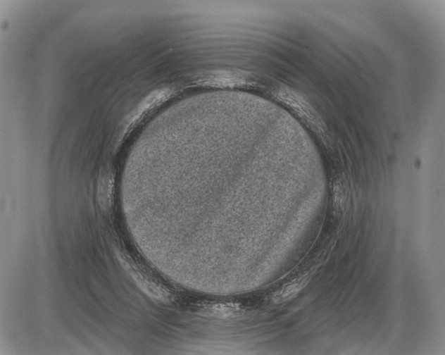 X0000085020304200703191148