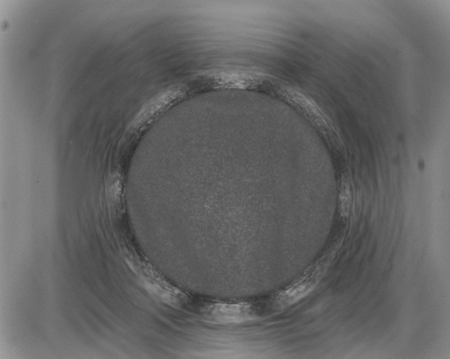 X0000085020314200703191148