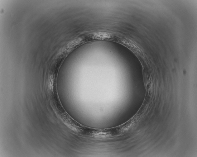 X0000085020315200703191148