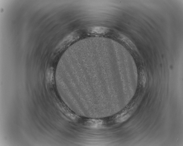 X0000085020328200703191148
