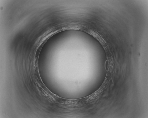 X0000085020338200703191147