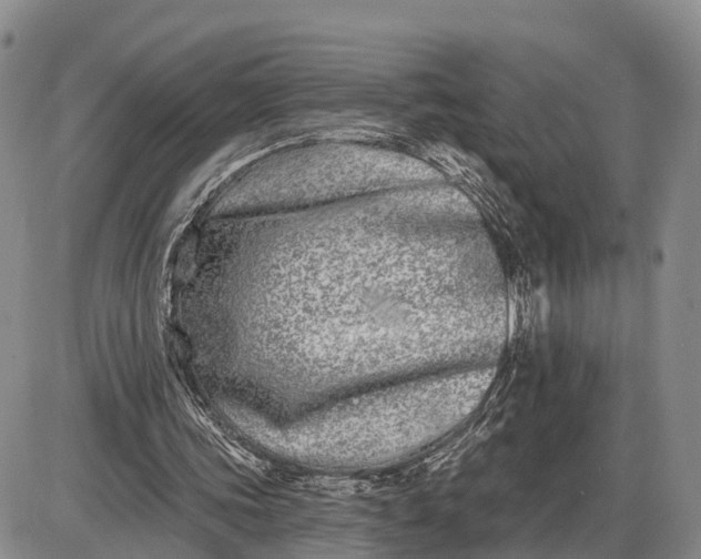 X0000085020339200703191147