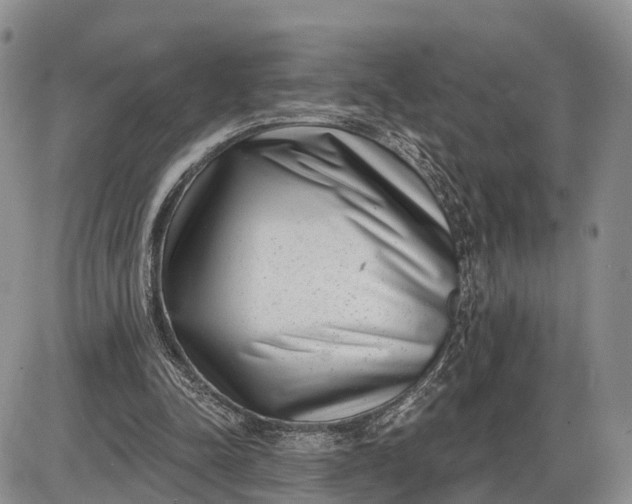 X0000085020342200703191147