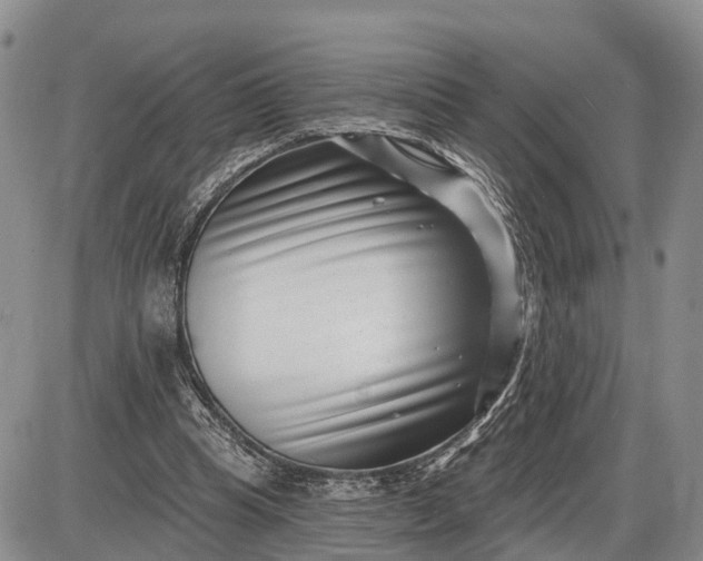 X0000085020345200703191147