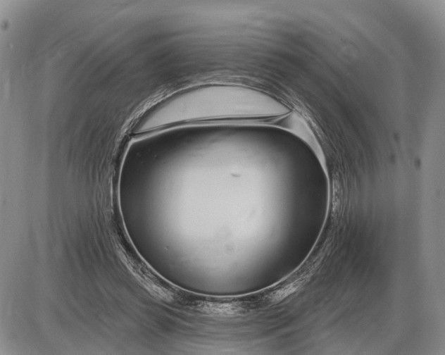 X0000085020349200703191147