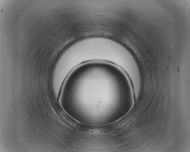 X0000085020356200703191147