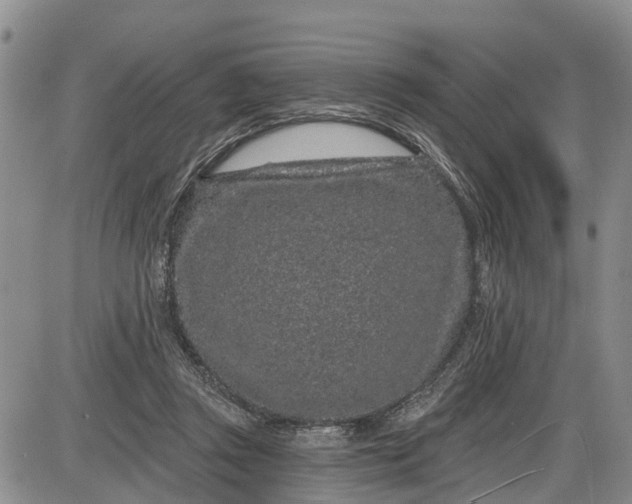 X0000085020357200703191147
