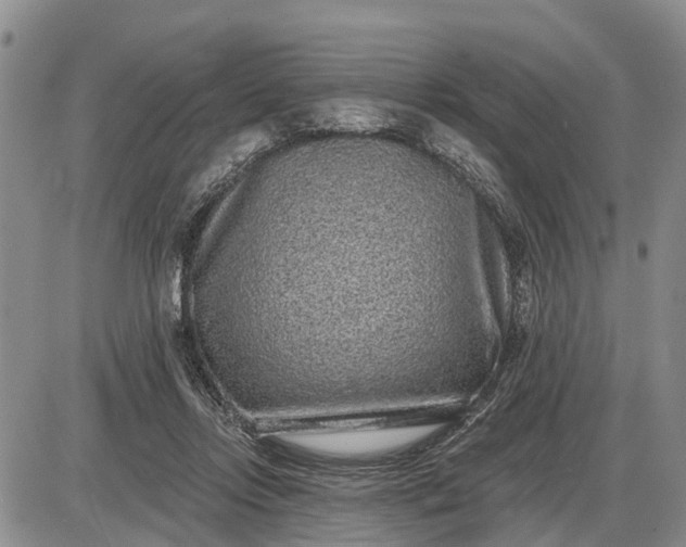 X0000085020358200703191147