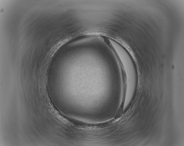 X0000085020385200703191147