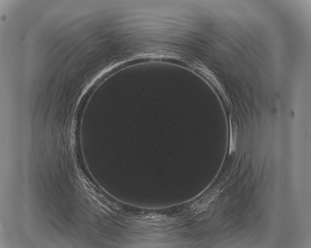X0000085020387200703191147