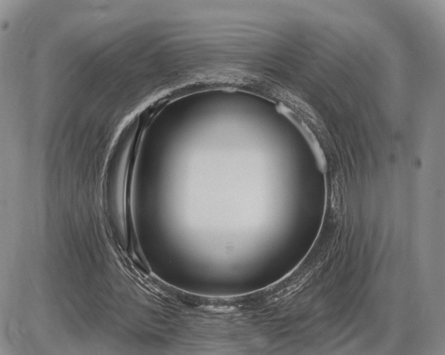 X0000085020388200703191147