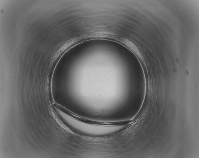X0000085020389200703191147