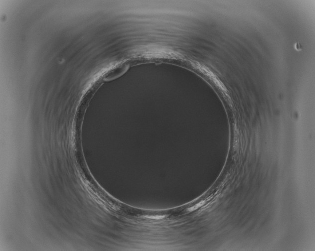X0000085020391200703191147